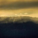 探索pa电子官网的最新动态与行业发展趋势分析 0wr72yays