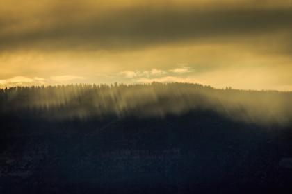 探索pa电子官网的最新动态与行业发展趋势分析