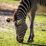 探索如意体育的多元化项目,满足不同人群的运动需求 9hapdg5tg