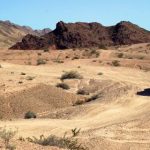 探索易倍体育的用户体验:如何提升玩家的参与感与乐趣 b7x1t