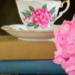 探索白菜网项目社区:共享资源与经验的理想平台 droqf