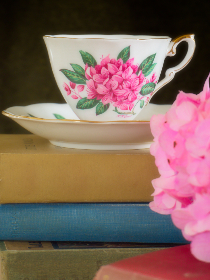 探索白菜网项目社区:共享资源与经验的理想平台