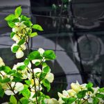 探索四季直播:带你领略不同季节的独特风景与活动 hd0jcyzv