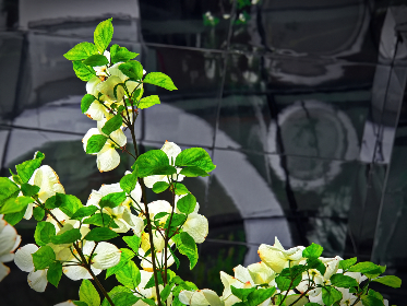 探索四季直播：带你领略不同季节的独特风景与活动