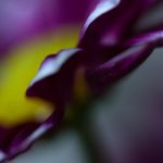 探索mk体育开云:如何提升你的运动表现与体验 y4v9d00