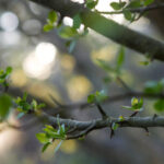 276期开奖前后号码走势深度解析 9kg4g1